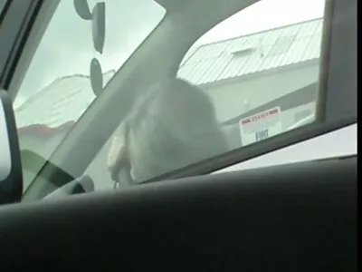 بلوند با بچه های بزرگ در صندلی خروس سخت در داستانهای جدید سکسی POV می نشیند